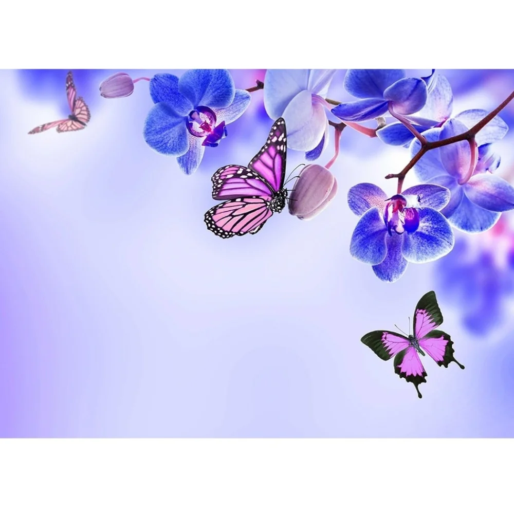 Purple‎ and Pink Butterfly Orchid Art